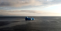 Newfoundland Iceberg