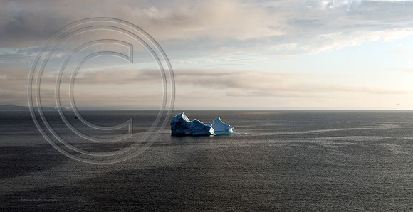 Newfoundland Iceberg